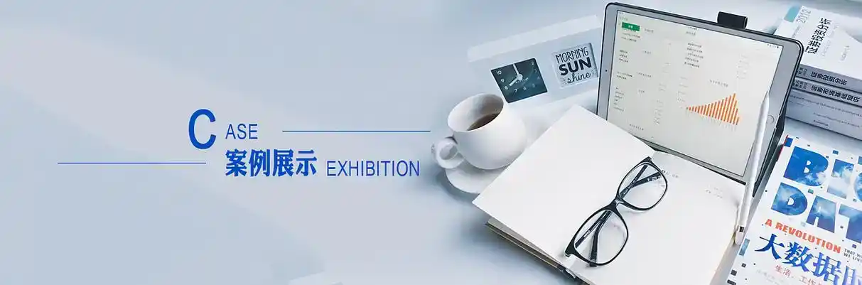 莱山区软件开发